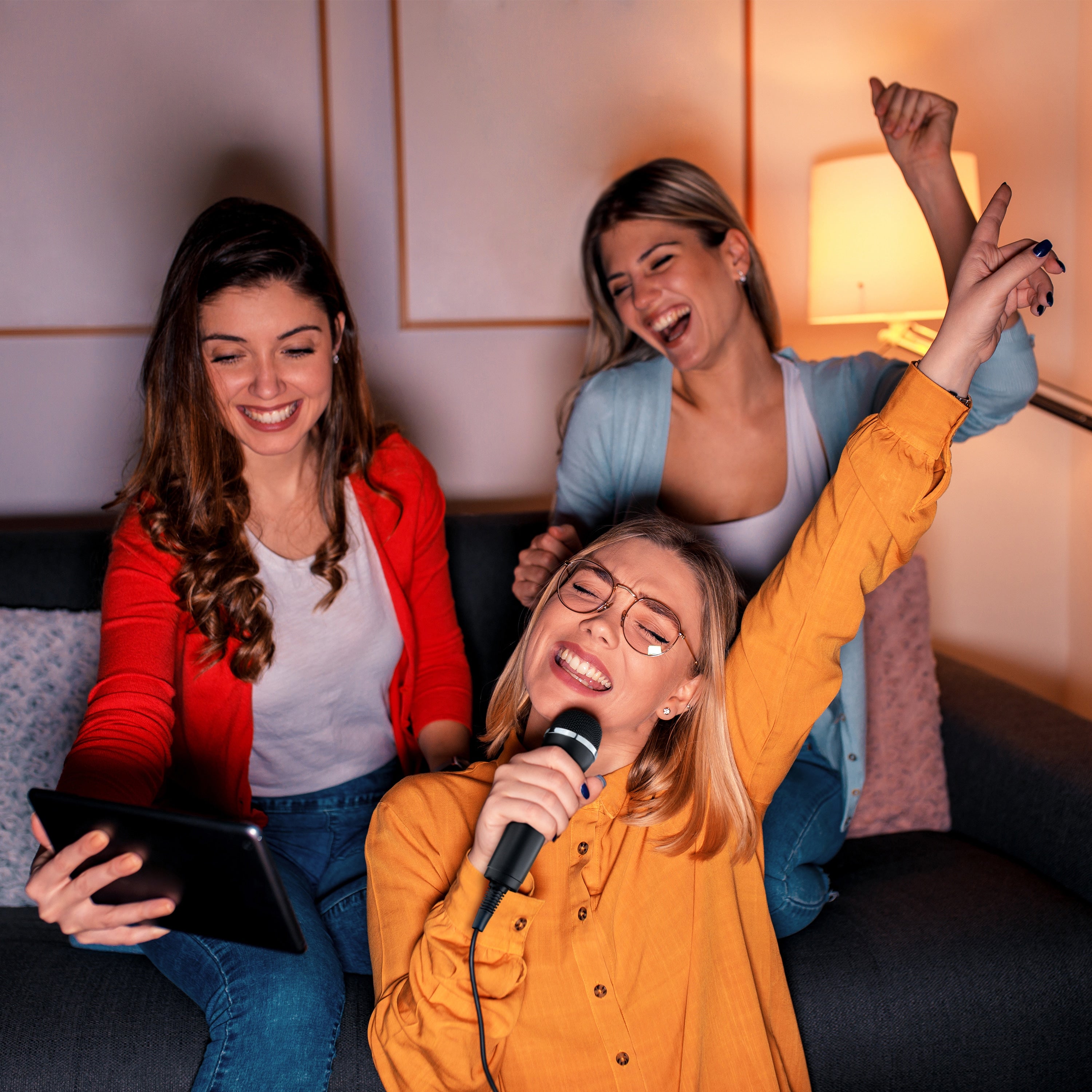 Lioncast Mikrofon für Karaoke (2er Set)