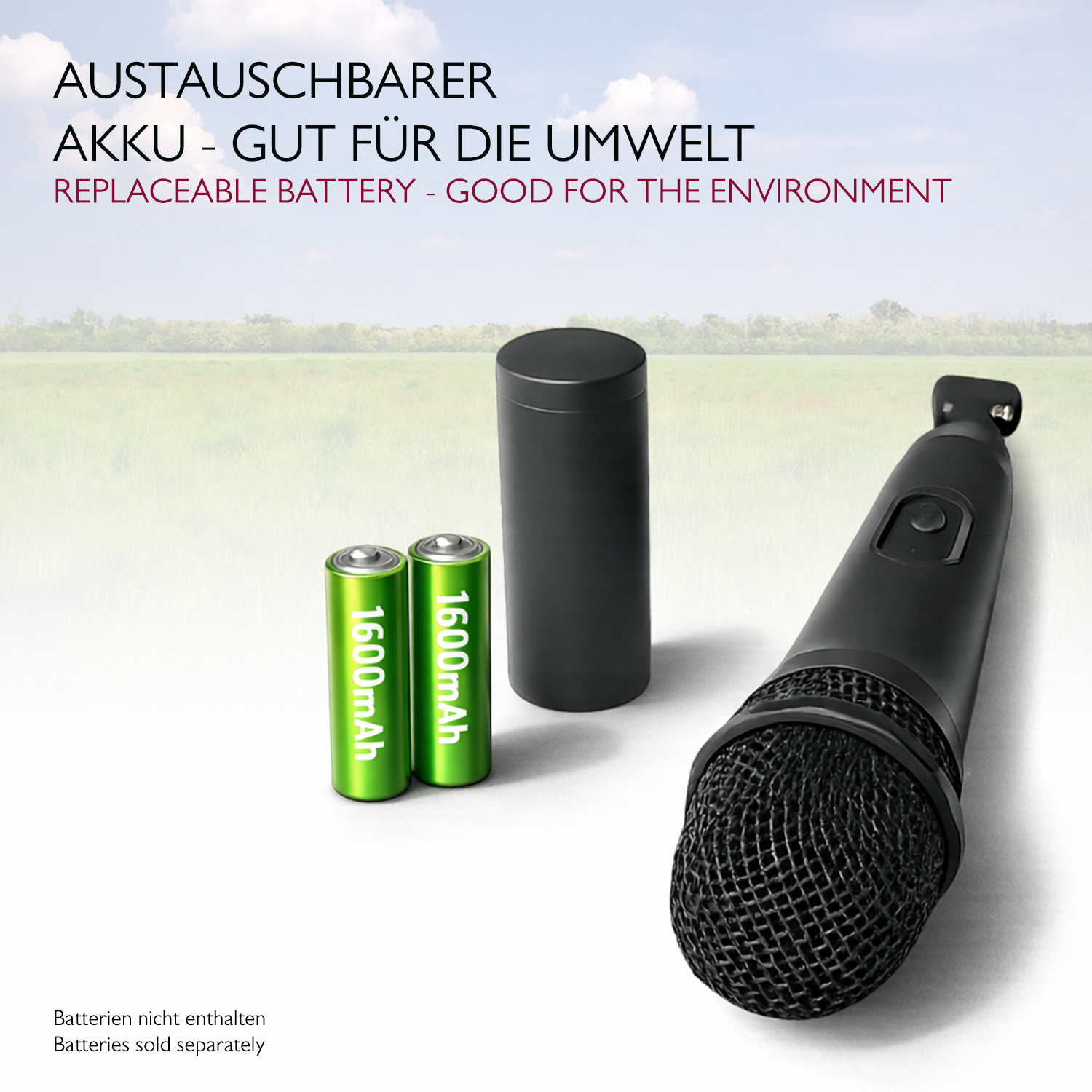 Lioncast Wireless Mikrofon für Karaoke (Doppelpack)