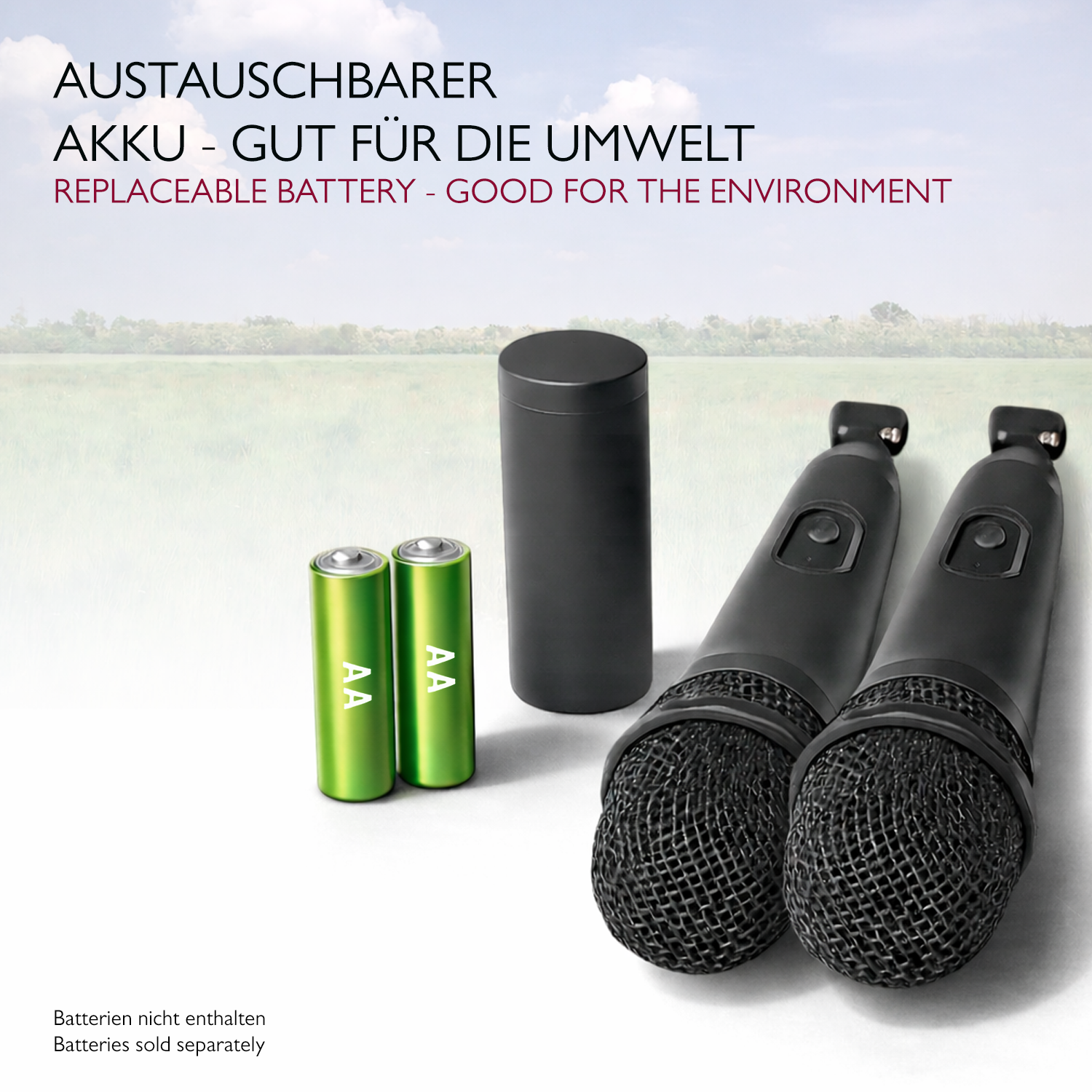 Lioncast Wireless Mikrofon für Karaoke (Doppelpack)