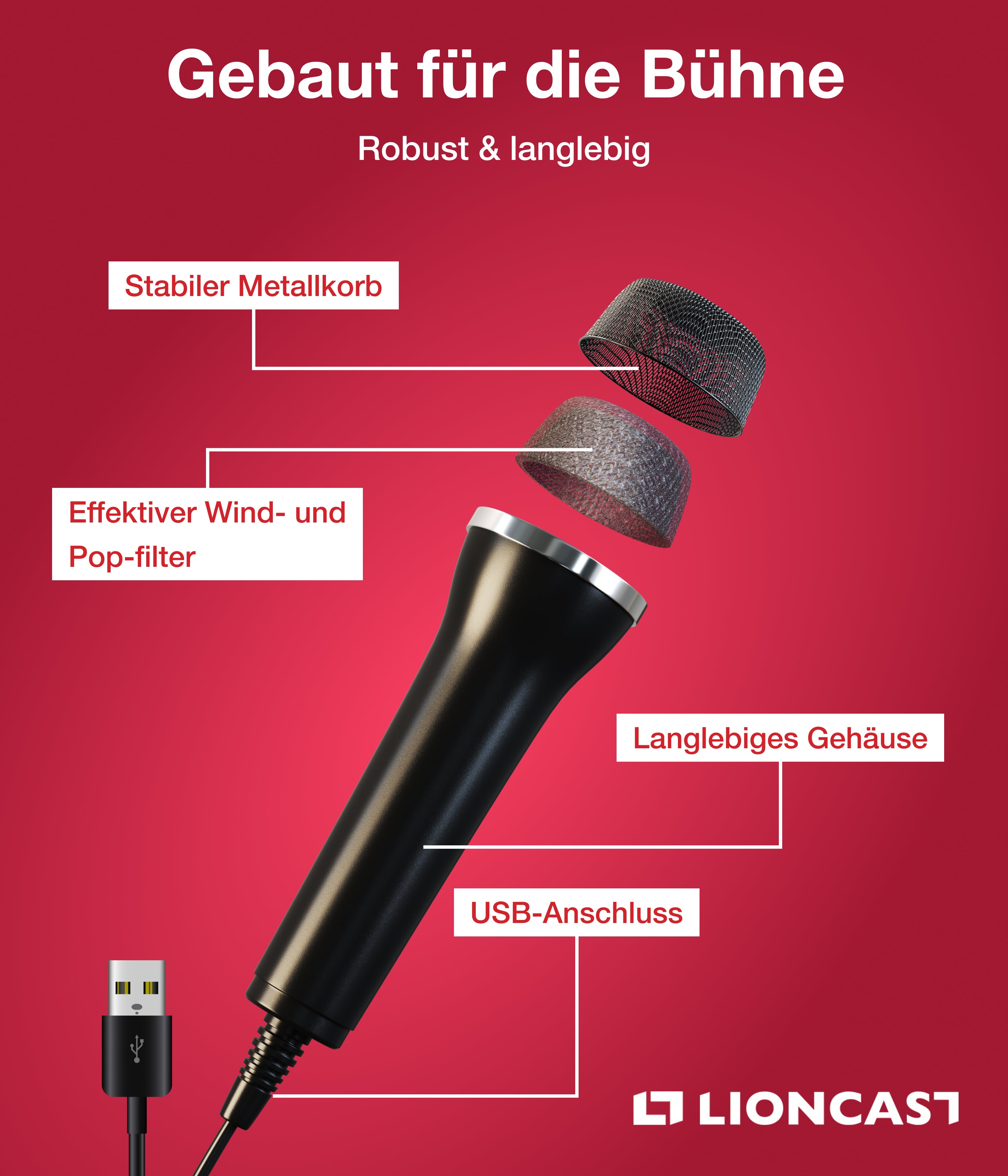 Lioncast Mikrofon für Karaoke (2er Set)